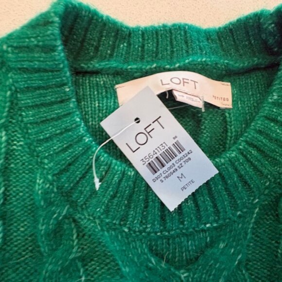 Fun Complete Loft Holiday Outfit - Medium - NWT - Picture 3 of 10